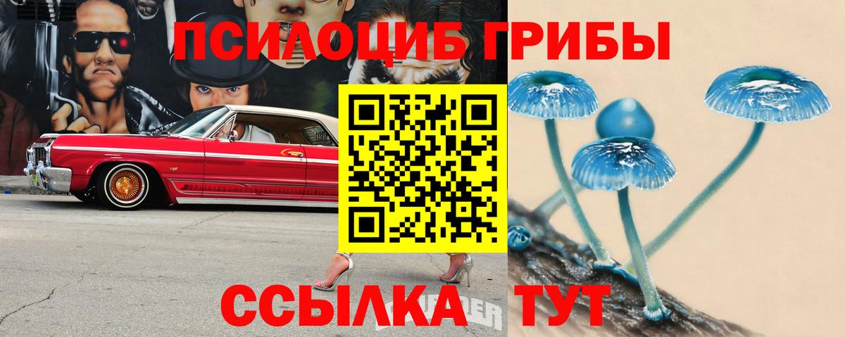 Нефтекамск  Галлюциногенные грибы Psilocybine cubensis  купить наркоту  Вход с VPN 